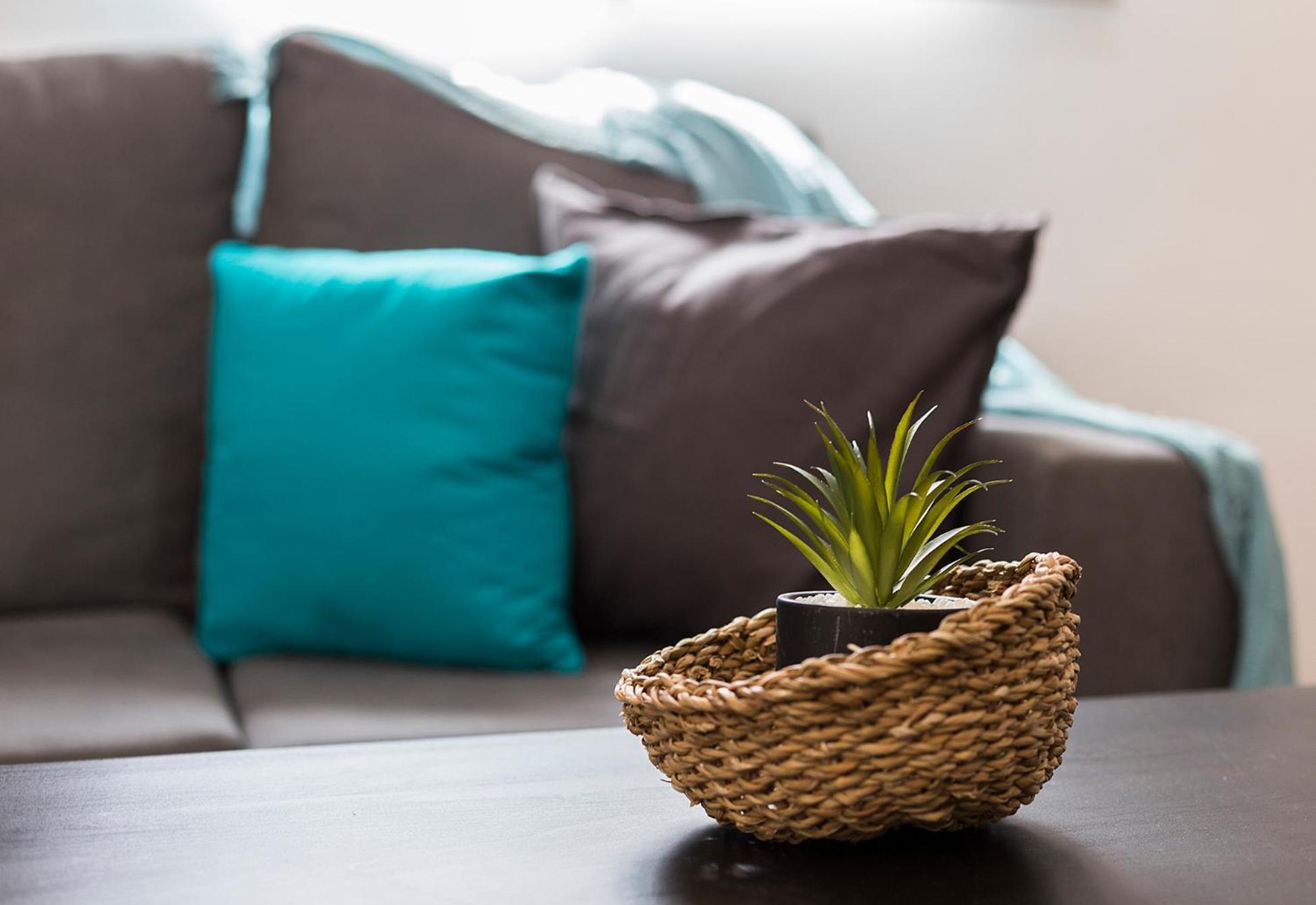 Apartmán San Miguel Tranquilo Moderno Jerez de la Frontera Exteriér fotografie